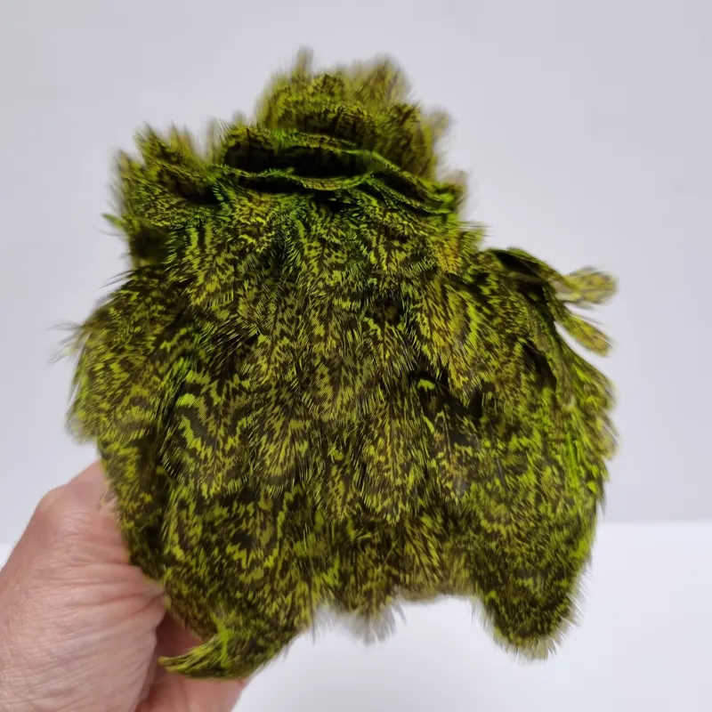 Whiting Coq de Leon Hen Cape in Speckled Fl.Green Chartreuse-6